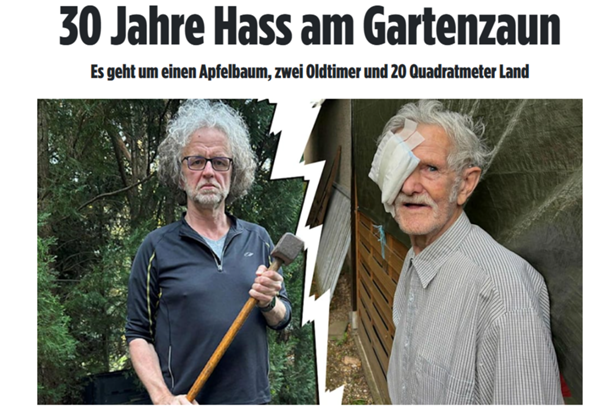 Bild zum Beitrag