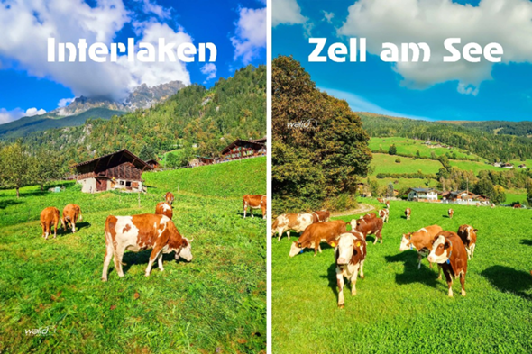 Bild zum Beitrag