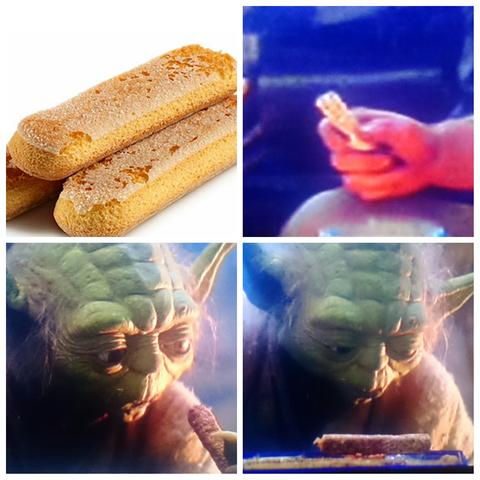 Yoda isst - (Fernsehen, Lebensmittel, Star Wars)