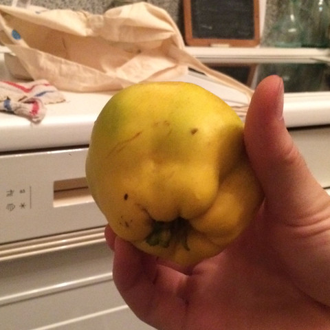 Der Apfel - (Apfel, Sorten)
