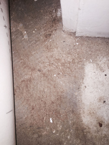 Bodenuntergrund mit graue Klebereste / braune Fasern - (Boden, renovieren, Asbest)