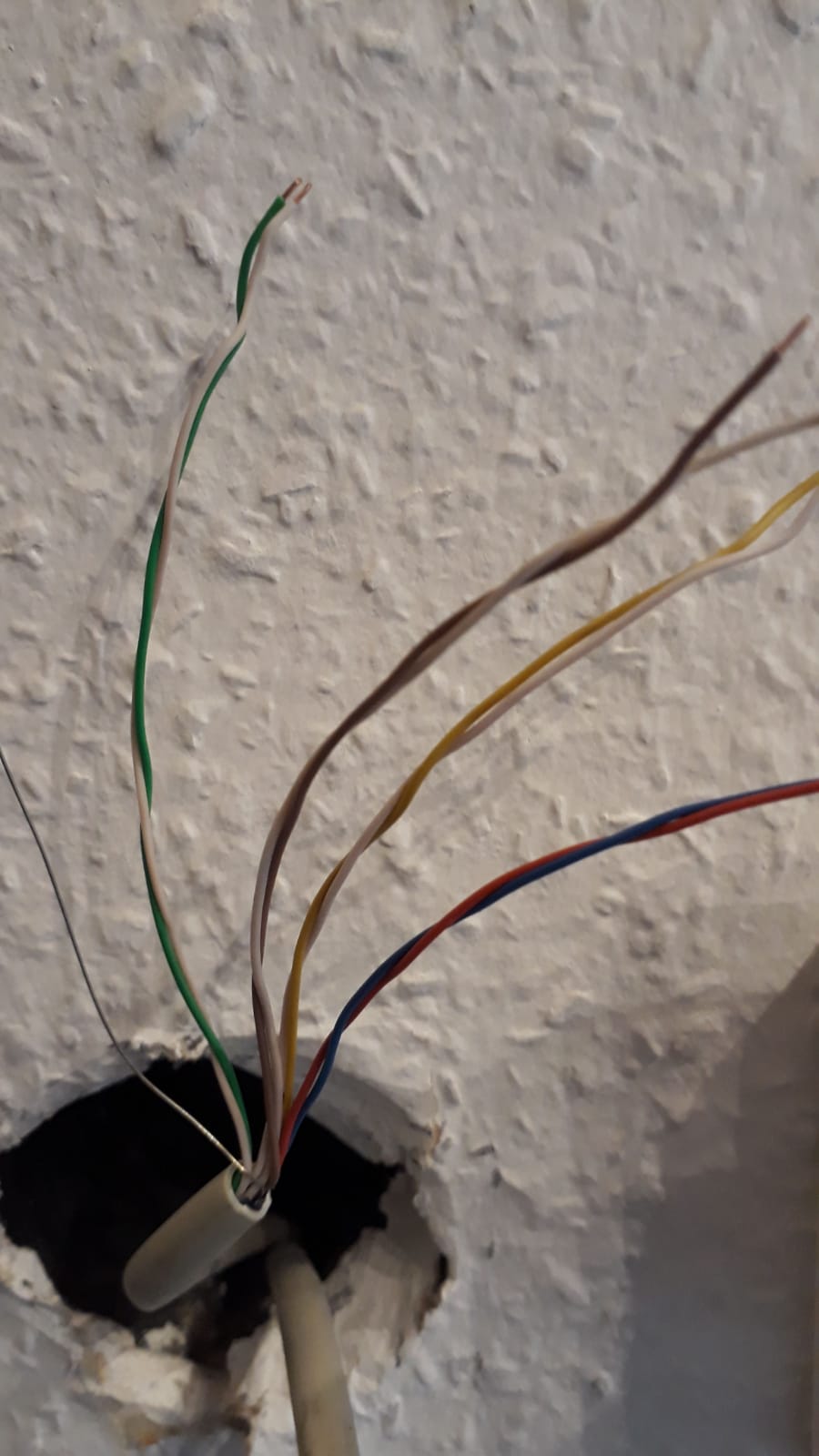 42+ Internet Kabel Dose Images