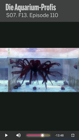 - (Aquarium, Lebewesen, DMAX)