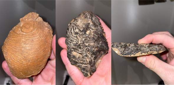 Was für ein Stein/Fossil/Mineral ist das?