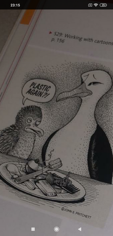 - (Schule, Vögel, Karikatur)