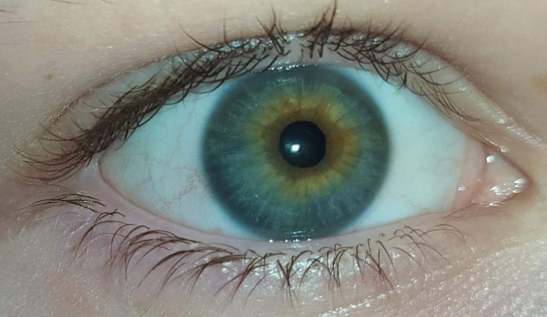 Was für eine Augenfarbe habe ich, grün, gelb, braun oder blau? (Menschen,  Augen, Farbe)