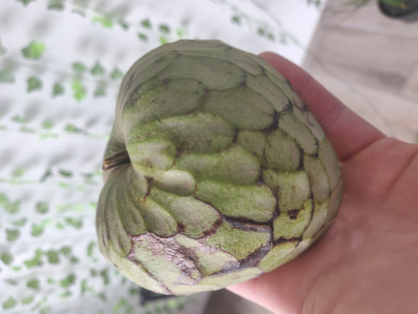 Was Fur Eine Frucht Ist Das Siehe Bild Essen Essen Und Trinken Fruchte Was Fur Eine Frucht Ist Das Siehe Bild Essen Essen Und Trinken Fruchte