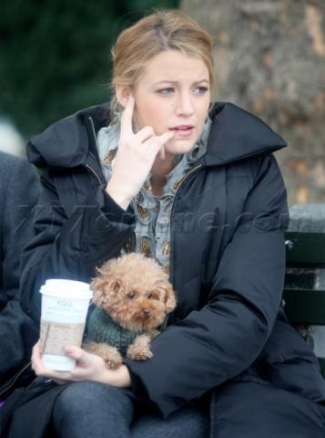 - (Hunderassen, blake lively)