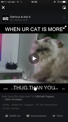 Hier ist die Katze. Sehr Süß was? - (Tiere, Katzen, Rasse)