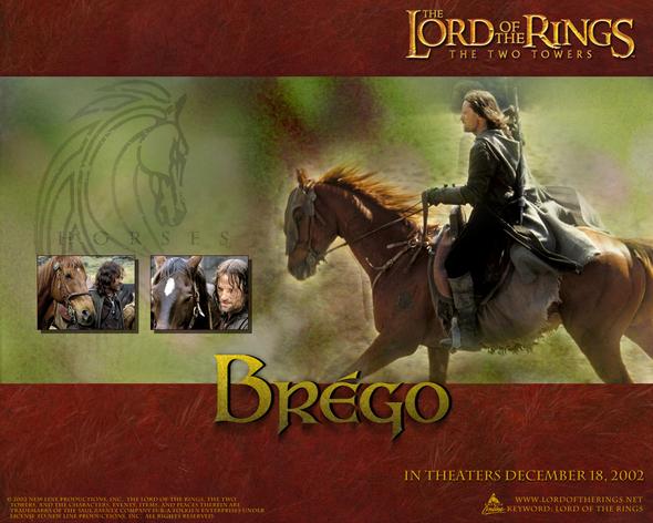 Brego - (Pferd, Herr der Ringe, Pferderassen)