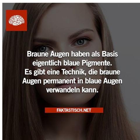 Sind augen gefährlich braune sprüche 52+ Sprüche