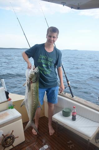 Welcher Fisch - (Fische, Kroatien, Mittelmeer)