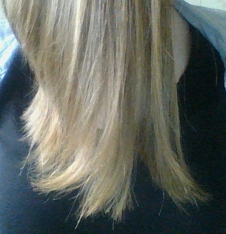 spliss und schnell fettendem haar