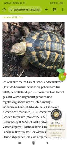 Bild zum Beitrag