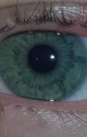 Was hab ich für eine Augenfarbe Grün oder eher Grau?