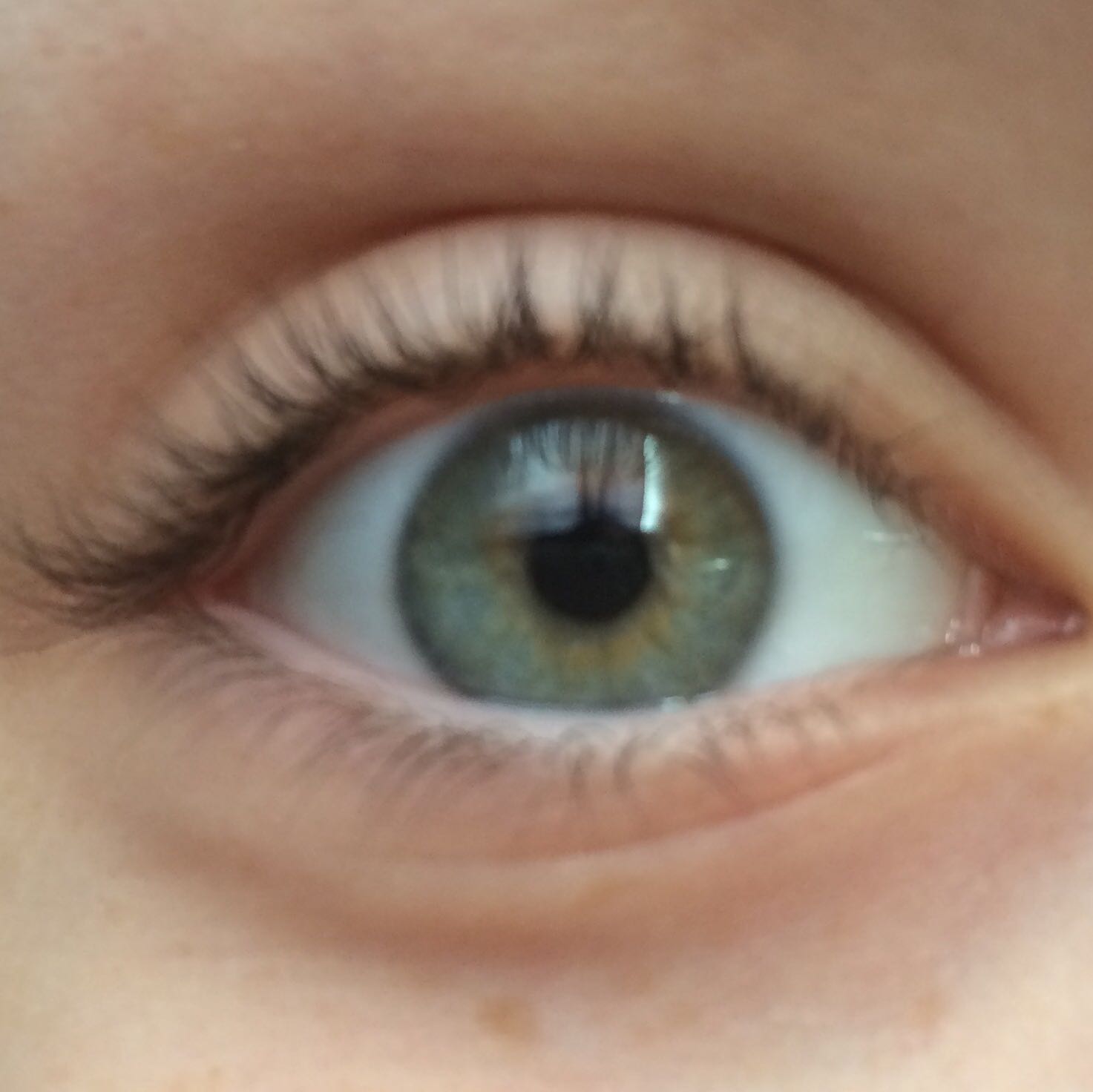 Augenfarbe Grün Grau