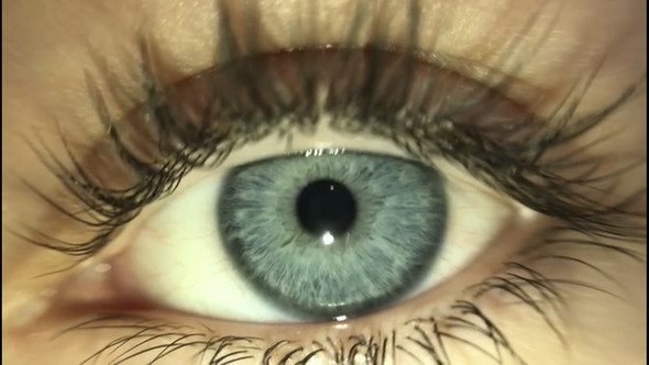 Was habe ich für eine Augenfarbe? (Augen)
