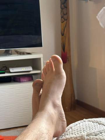 Bild zum Beitrag