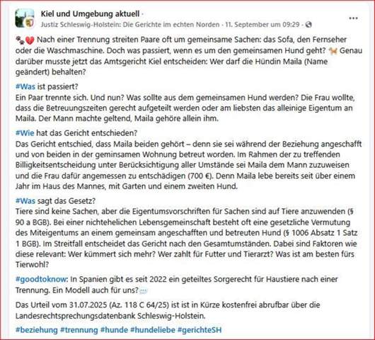 Bild zum Beitrag