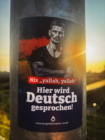 Bild zum Beitrag