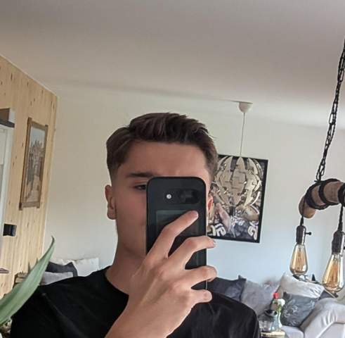 Bild zum Beitrag