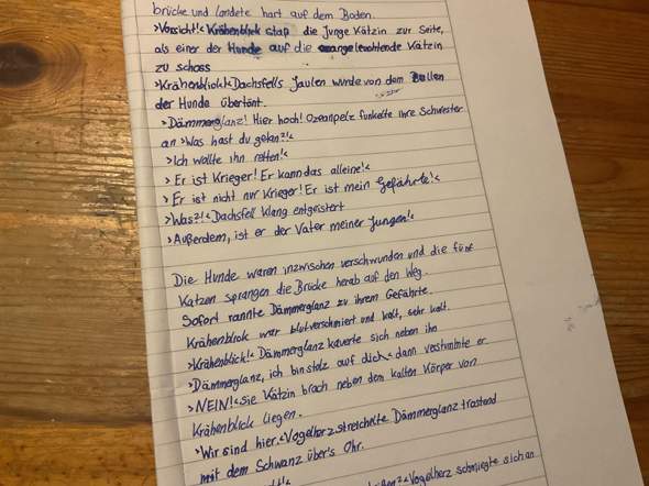Bild zum Beitrag