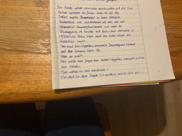 Bild zum Beitrag