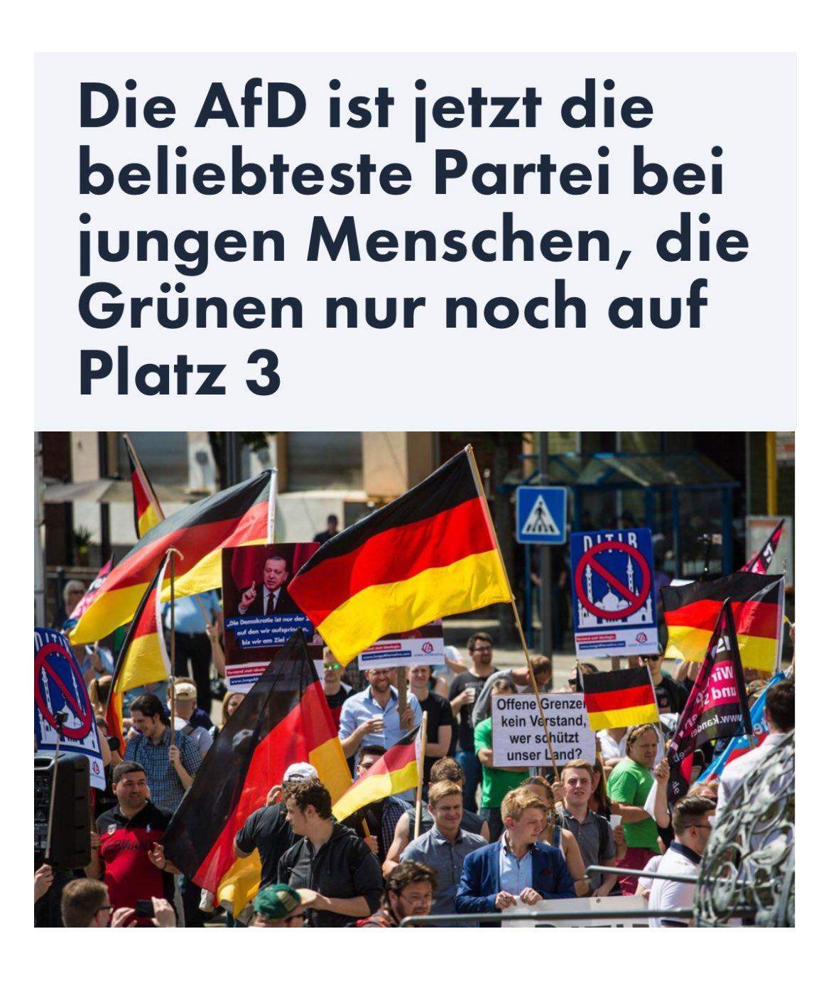 Was Haltet Ihr Davon, Dass Die AfD Die Beliebteste Partei Ist Bei ...