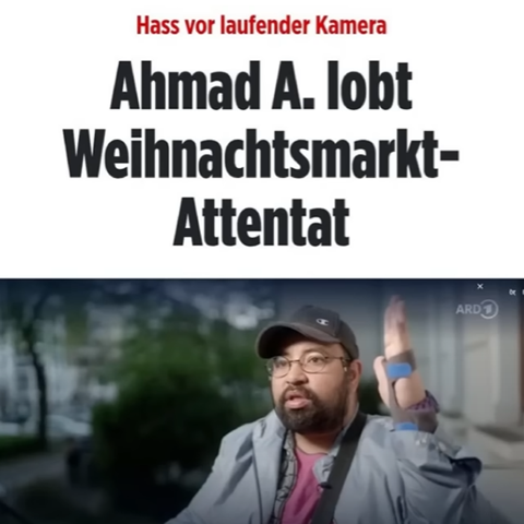 Bild zum Beitrag