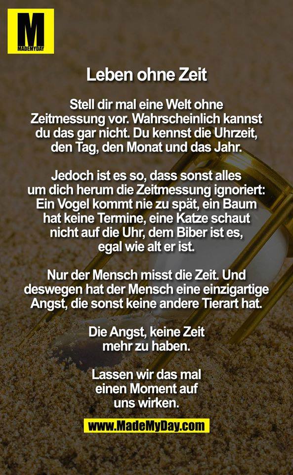 Was haltet ihr von dem Spruch auf dem Bild? (Bilder, Sprüche, Zeit) Was haltet ihr von dem Spruch auf dem Bild? (Bilder, Sprüche, Zeit)