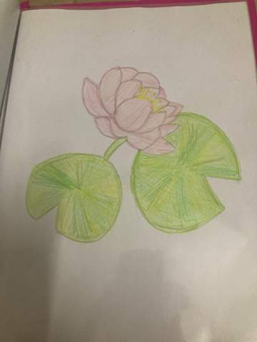  - (Bilder, Kunst, Hobby)
