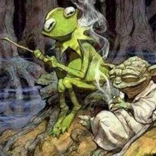 Gucci - (yoda, TierchenkreisTierc)