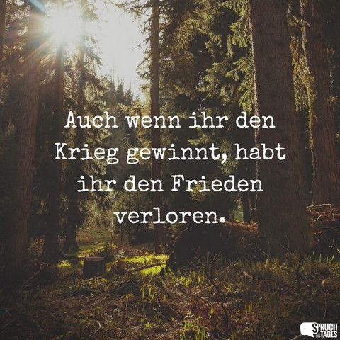 Was Haltet Ihr Von Diesem Spruch Siehe Bild Spruche Krieg