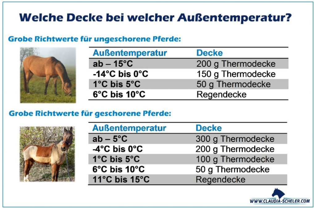 Was haltet ihr von diesen Angaben zum Eindecken? (Pferde, Pferdedecken) - 0 Original