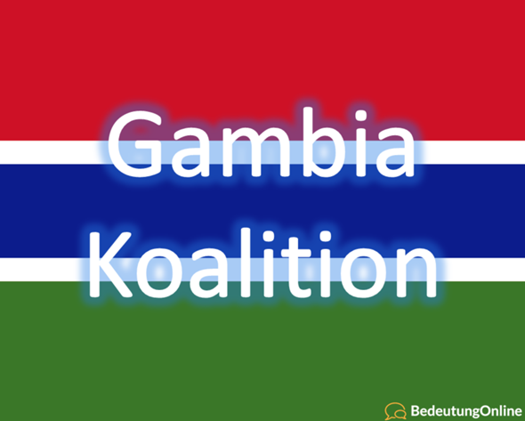 Was haltet Ihr von einer Gambia-Koalition?