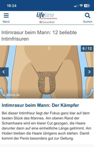 Bild zum Beitrag