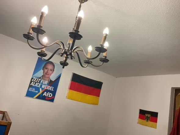 Bild zum Beitrag
