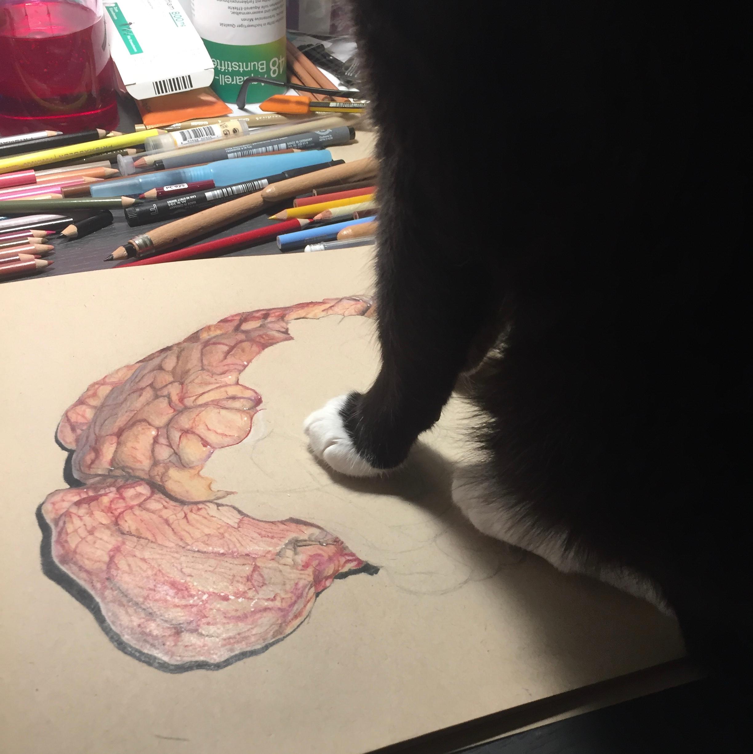 Was haltet ihr von meiner Zeichnung eines realistischen Was haltet ihr von meiner Zeichnung eines realistischen