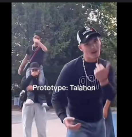Talahon Mit Cap Talahon - die meistgelesenen Fragen