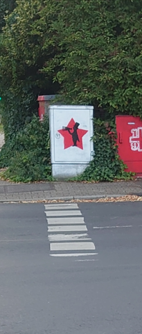 Bild zum Beitrag
