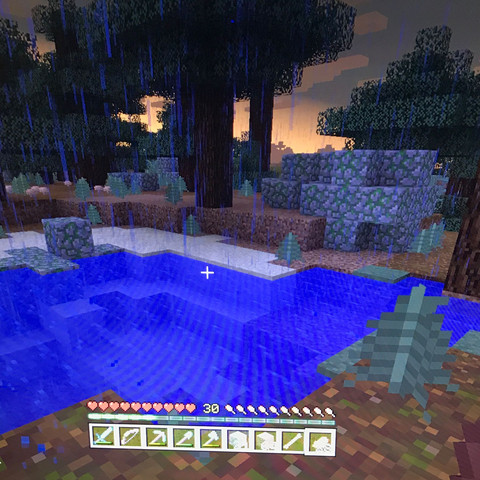 Es stehen überall solche Steine rum!? - (Minecraft, PS4)