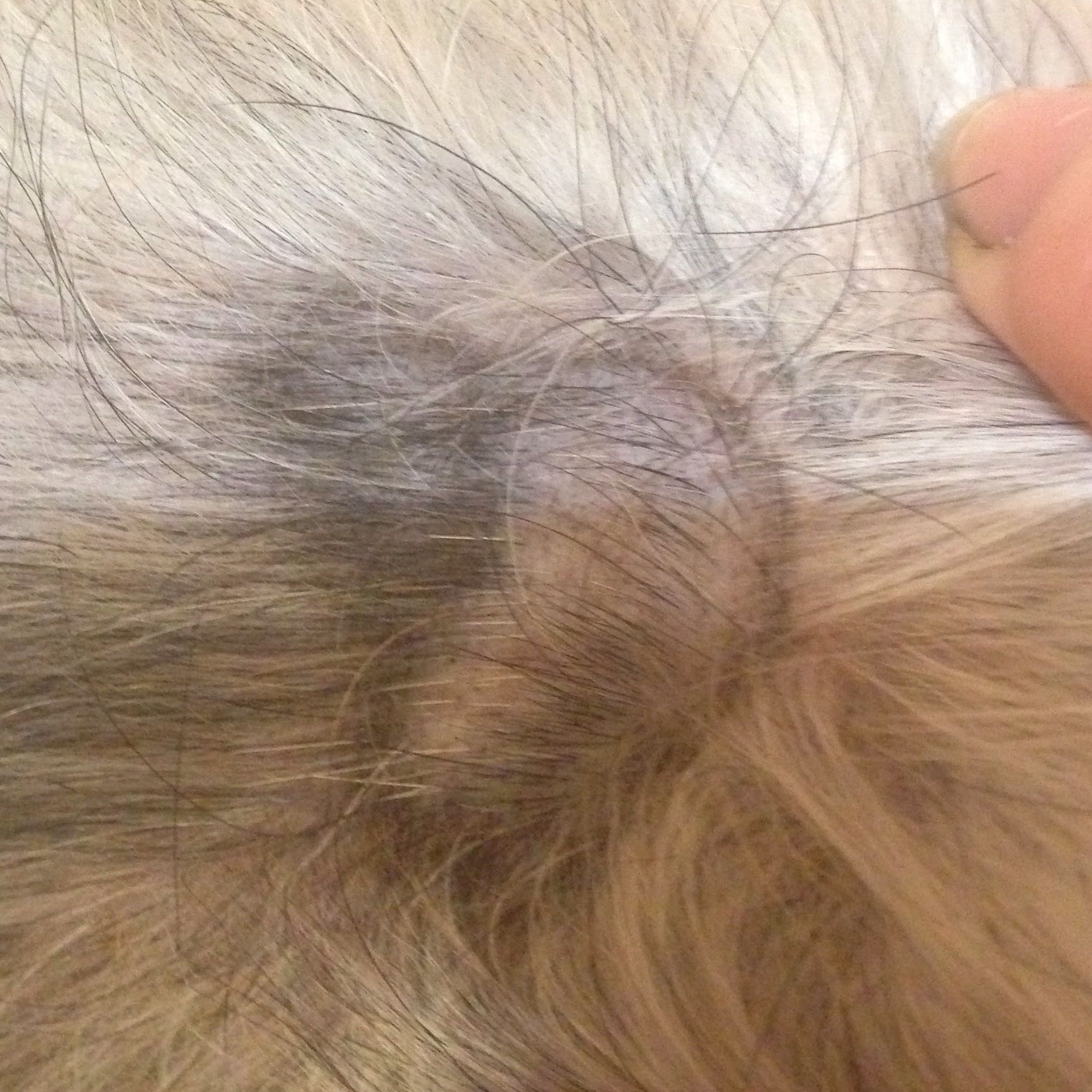 Was hat mein Hund auf der haut?