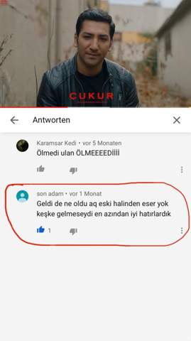 Was Heisst Dieser Turkische Kommentar Auf Deutsch Ubersetzung Turkisch Cukur