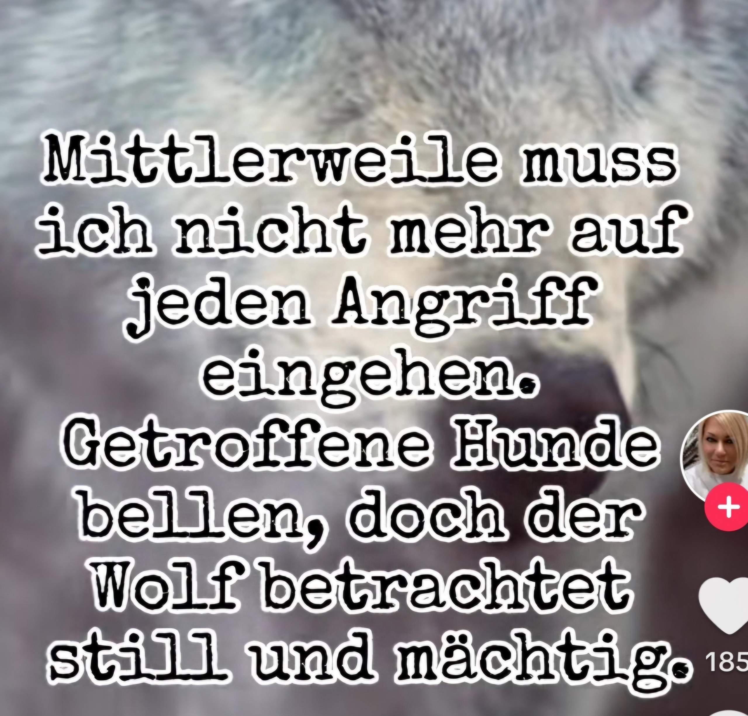 Was heist der spruch? (Bedeutung, Zitat)