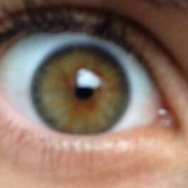 Das Auge: - (Menschen, Augenfarbe, welches)