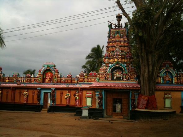 Tempel - (Rezept, Indien, Kerala)