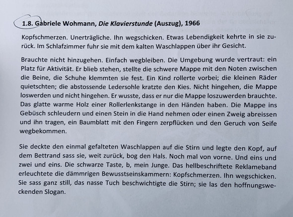 Was Ist An Diesem Textausschnitt Typisch Realistisch Deutsch Studium Literatur