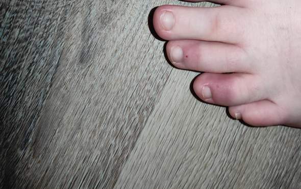 Bild zum Beitrag