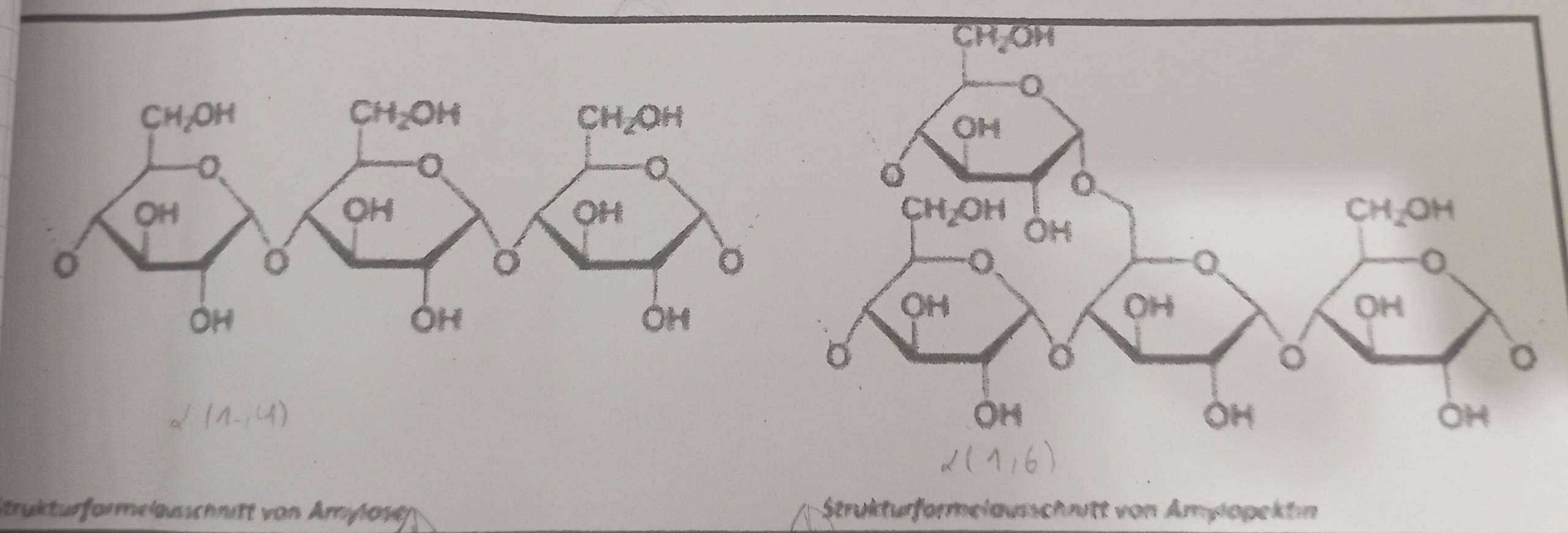 Was ist Anomerie? (Chemie, Kohlenhydrate)