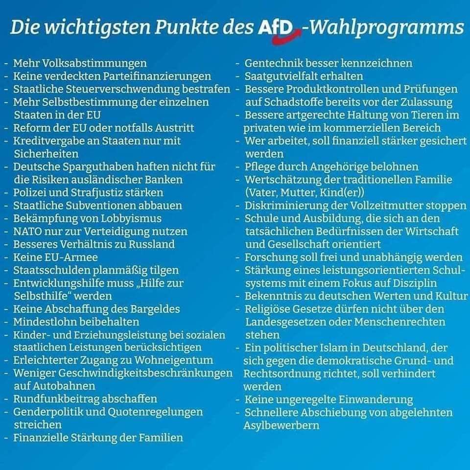 Was ist daran falsch, an diesem Wahlprogramm der AFD? (Politik ...